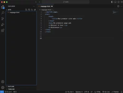 screenvscode.webp