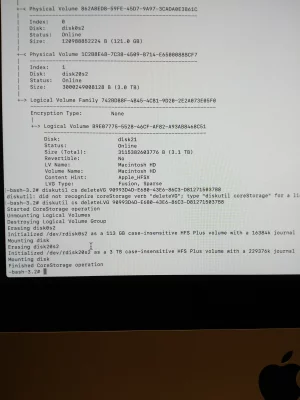 diskutil_cs_deletelvg_result.webp
