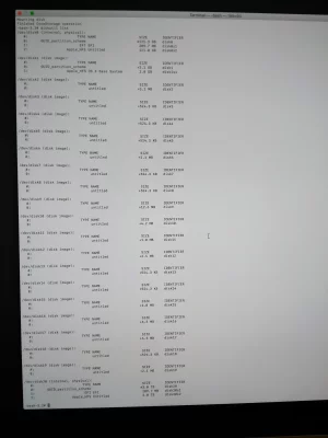diskutil list_result.webp