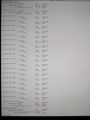 diskutil_list_result.webp