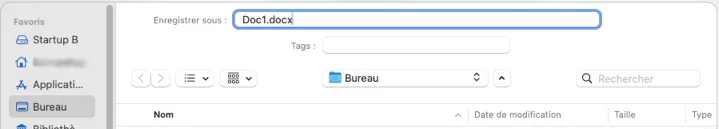 Capture d’écran.webp
