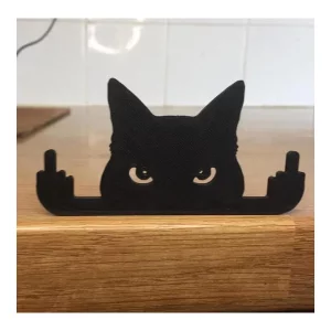chat doigt 1.webp