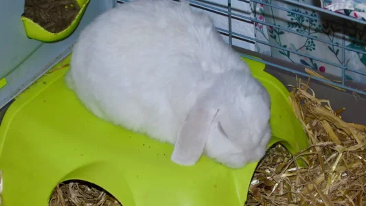 DSC00001.webp