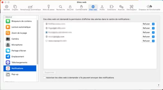 Capture d’écran.webp