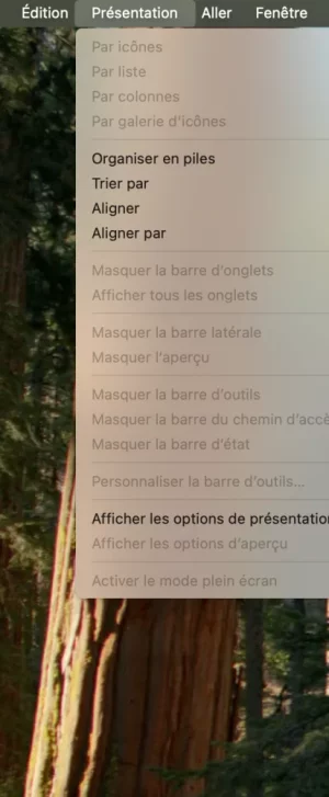 Capture d’écran 2025-07-19 à 18.51.55.webp