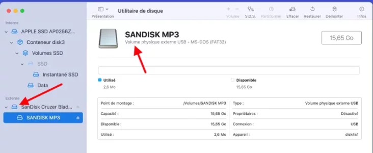 Image.webp