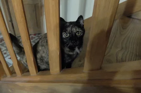 DSCF6812.webp