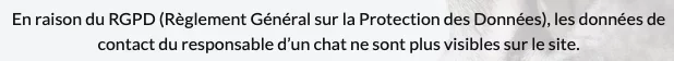 Capture d’écran 2025-11-20 à 08.44.24.webp