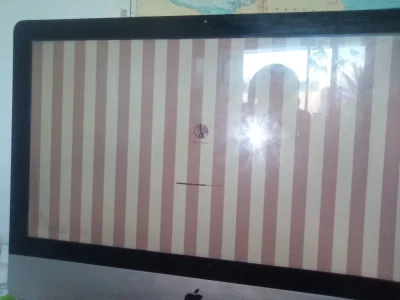 WhatsApp Image 2025-12-22 at 16.02.45.webp