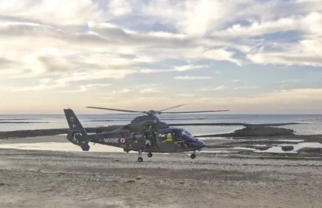 Guépard yankee.webp