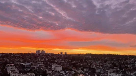 IMG_2942 - Grande.webp