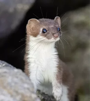 Capture d’écran 2026-02-02 à 17.41.49.webp