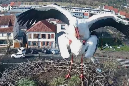 Capture d’écran 2026-02-09 à 17.34.46.webp