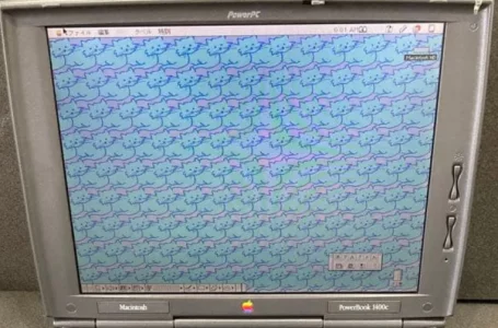 Capture d'écran 2026-03-13 172925.webp