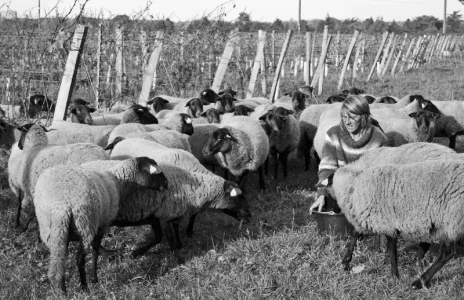 Émilie et ses moutons.webp
