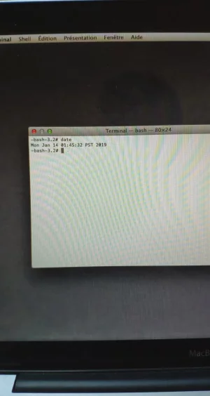 50081061_383839118856601_2350844005798903808_n.webp