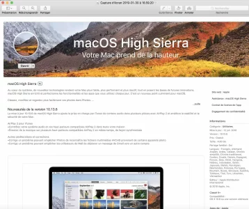 sierra low.webp