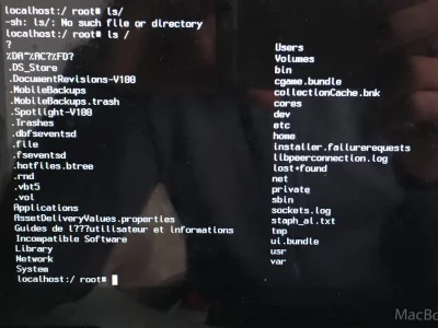 2E217DAB-22F0-4B5D-8411-DE7EC894D996.webp