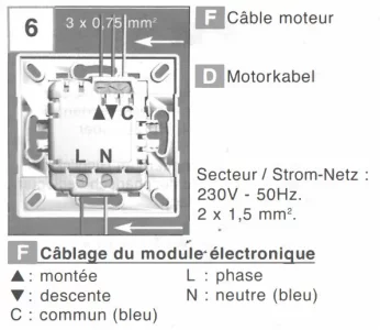 Capture.webp