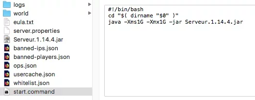 Dir Serveur.webp