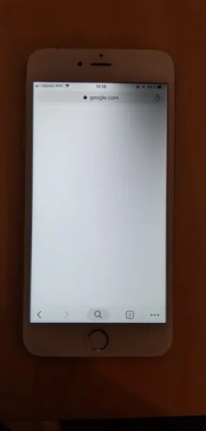 69354723_2330468397205222_2204338994840338432_n.webp