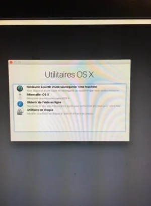 72377918_756528544807928_6782023131574829056_n.webp