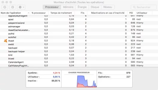 avast process.webp