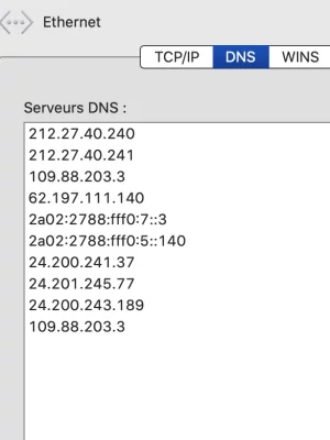 DNS.webp
