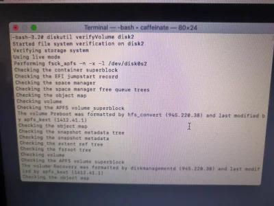 15743347307528353439746774175008.webp