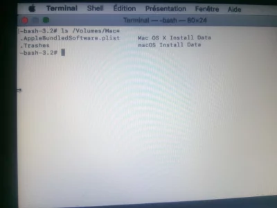15757335835942642385214082675684.webp