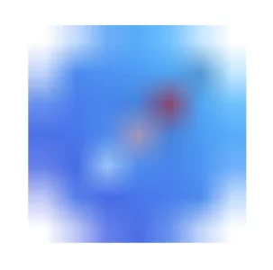 Safari.webp