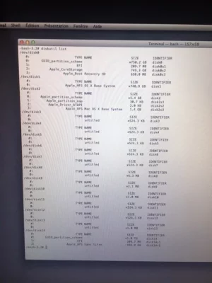 diskutil list.webp