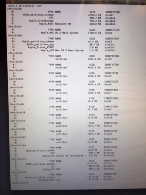 DISKUTIL.webp