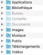 Capture d’écran.webp