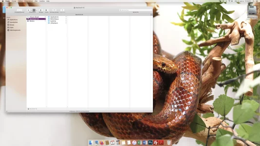 Fenêtre position 01.webp