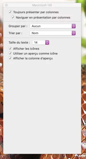 Fenêtre position 02.webp