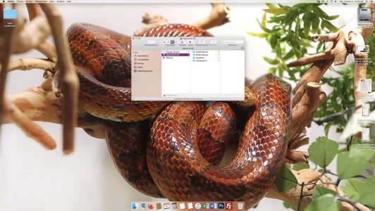 Fenêtre position 03 bis.webp