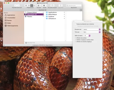 Fenêtre position 04.webp