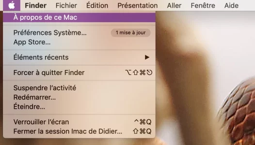 Capture d’écran 2020-03-08 à 13.59.49.webp
