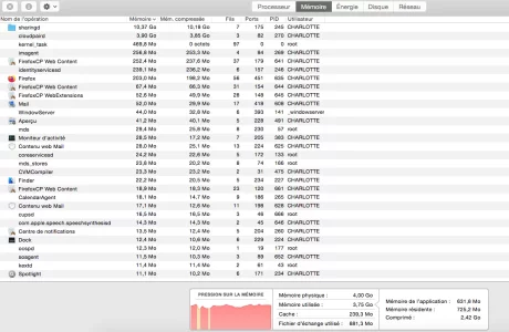 Capture d’écran 2020-03-12 à 17.20.59.webp