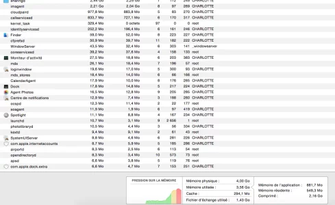 Capture d’écran 2020-03-12 à 17.10.17.webp