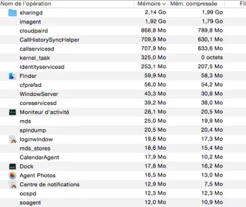 Capture d’écran 2020-03-12 à 17.10.06.webp