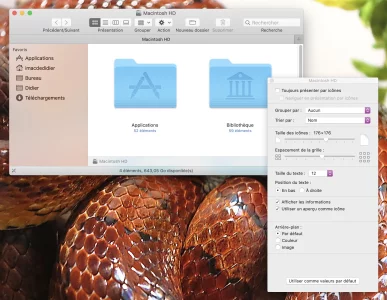Capture d’écran 2020-03-13 à 08.38.24.webp