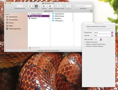Capture d’écran 2020-03-13 à 08.38.53.webp