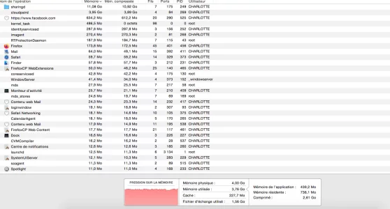 Capture d’écran 2020-03-17 à 13.56.39.webp