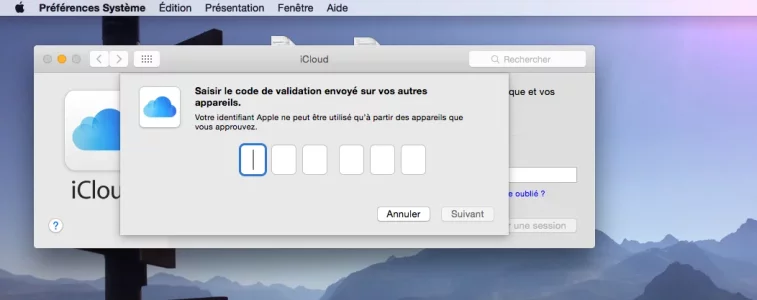 Capture d’écran 2020-03-17 à 14.09.21.webp