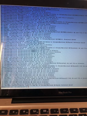 image.webp