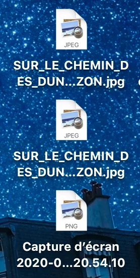 Capture d’écran 2020-04-09 à 21.00.46.webp