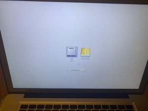 0962253F-0D50-44AD-AFDE-FD215D95B0DB.jpeg
