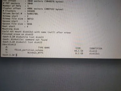 15868951436893762496673904718388.webp
